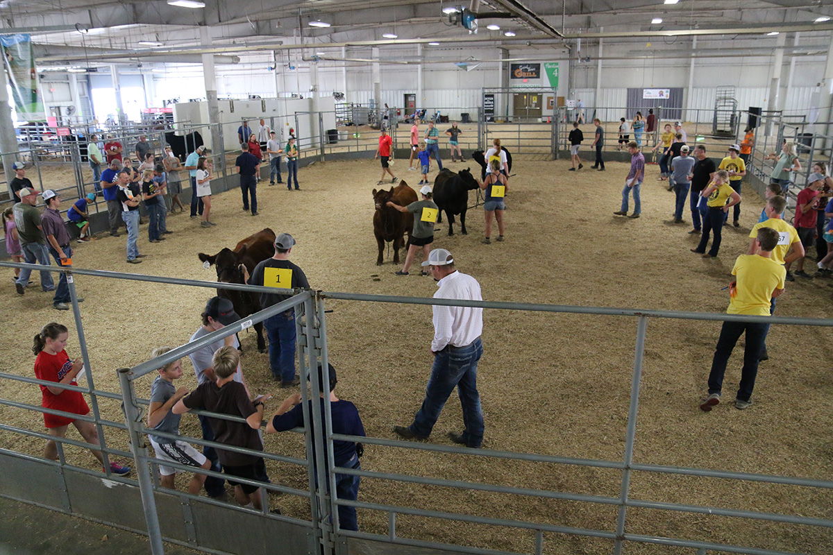 4-H/FFA Livestock Judging Contest at 2021 Lancaster County Super Fair
