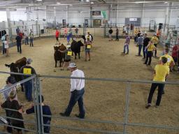 4-H/FFA Livestock Judging Contest at 2021 Lancaster County Super Fair