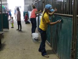 Volunteers Horse Stalls 2019.jpg