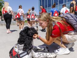 NSE Leader Gabrielle Modica, a New Student Enrollment leader, pauses to give Hershey a bit of attention outside the Cather Dining Center on June 17. Hershey is an 18-month old labradoodle being trained as a therapy dog for the University Police Department