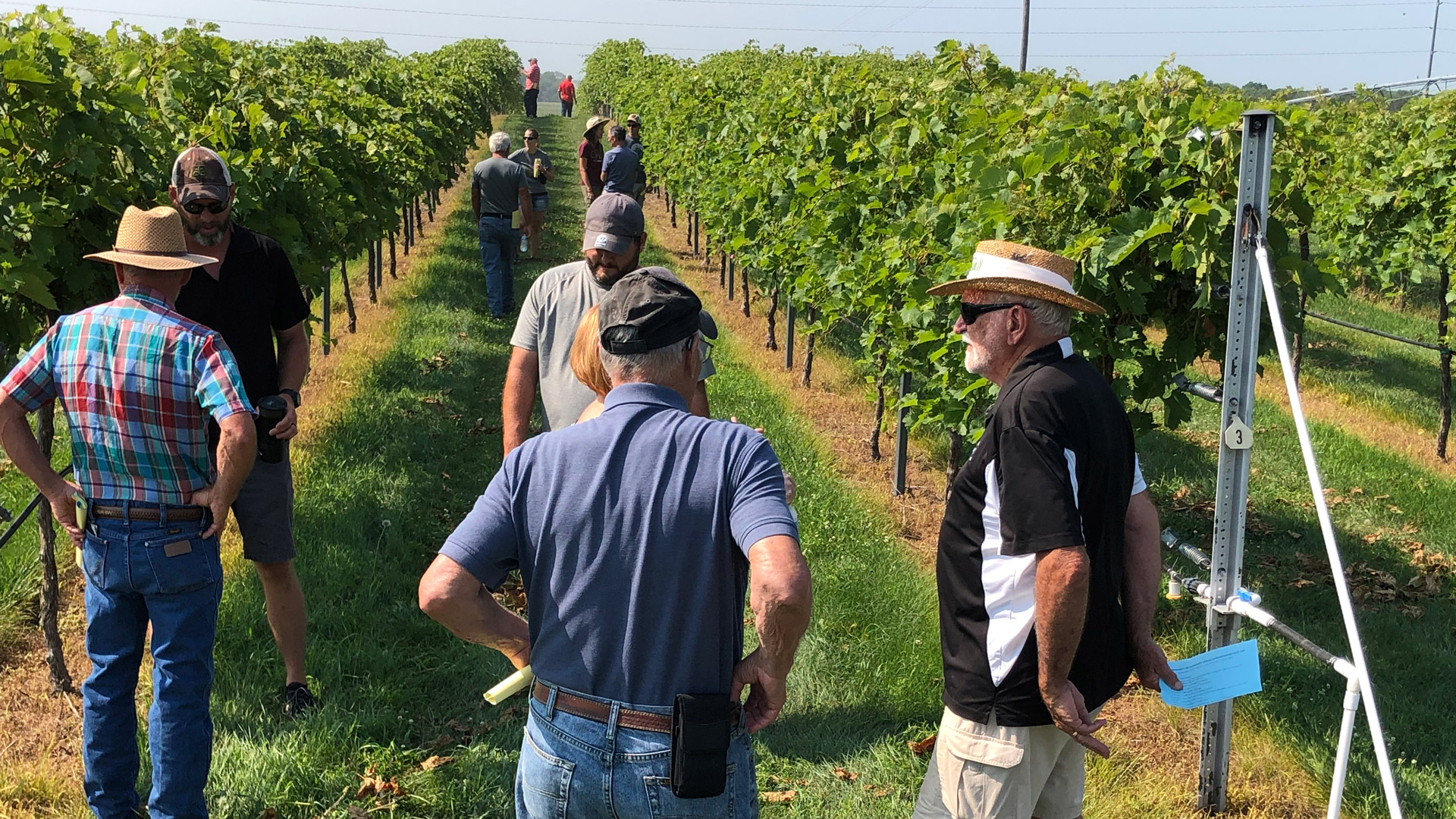 The University of Nebraska Viticulture Program and the Nebraska Winery and Grape Growers Association will host the Harvest Field Day Aug. 8 at Oak Creek Vineyards near Raymond, Nebraska.