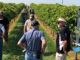 The University of Nebraska Viticulture Program and the Nebraska Winery and Grape Growers Association will host the Harvest Field Day August 8 at Oak Creek Vineyards near Raymond, Nebraska.