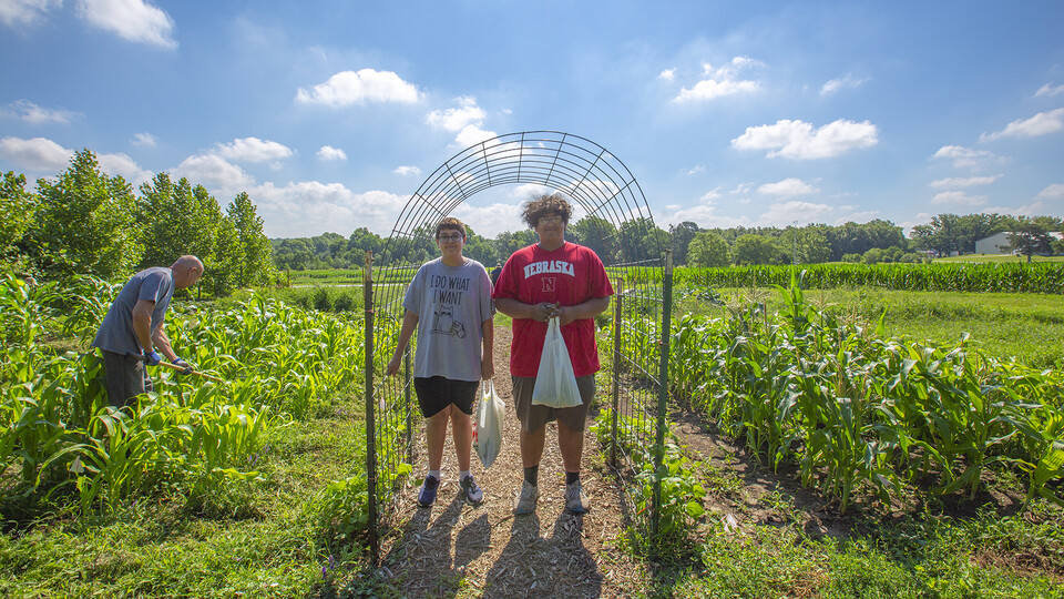 Ted Hibbeler (from left) and brothers Gabe and Mateo Perales work in the Indigenous Garden on East Campus. The garden, which was added this year, is part of the university's Indigenous Food Sovereignty Program.  Kateri Hartman | University Communication 