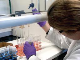 Lead author Jennifer Cooper extracts fatty acids for methyl esters for microbial fingerprinting. | Ryley Thomas