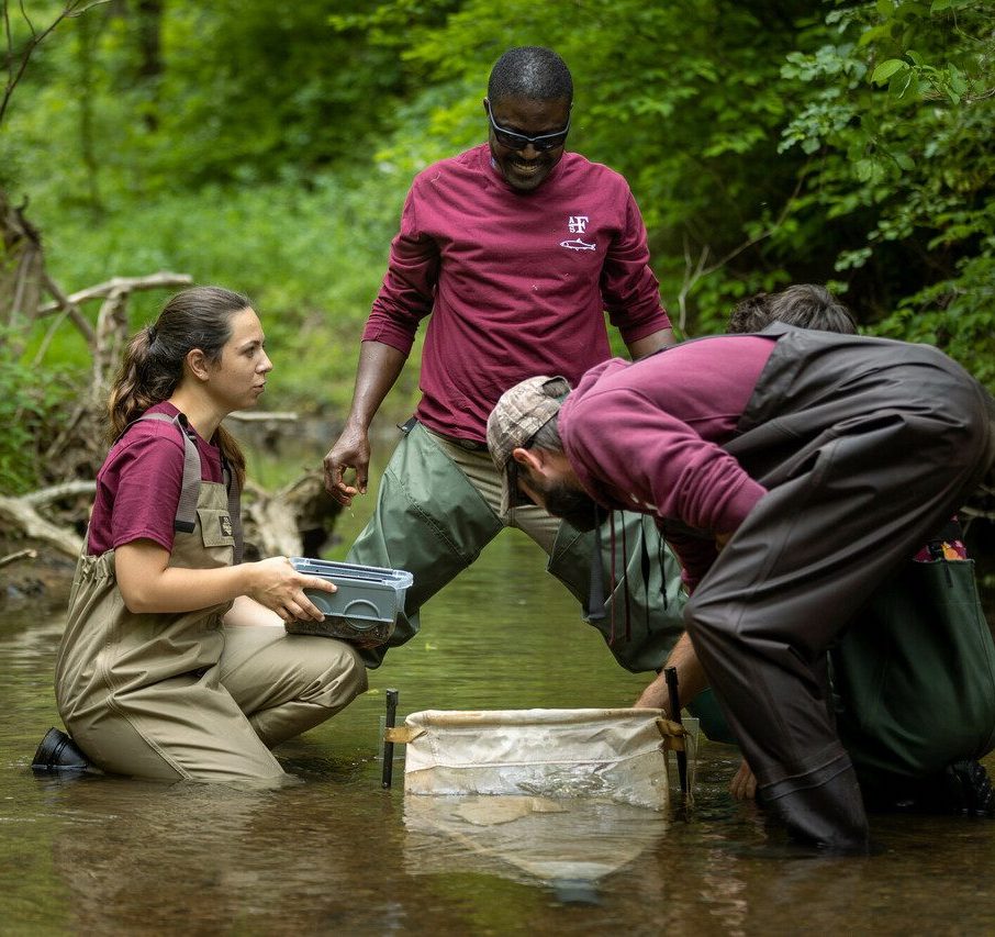 Postdoctoral Fellows may be from any discipline or field.