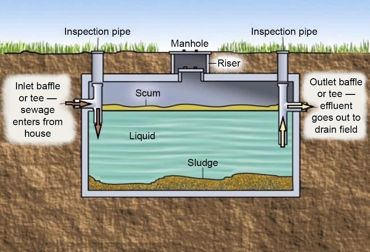 Wastewater flows from the building sewer line to the septic tank where both heavy and light solids separate. As wastewater flows into the tank, an equal volume of liquid/effluent flows out into the effluent treatment system, i.e. lateral or mound system.