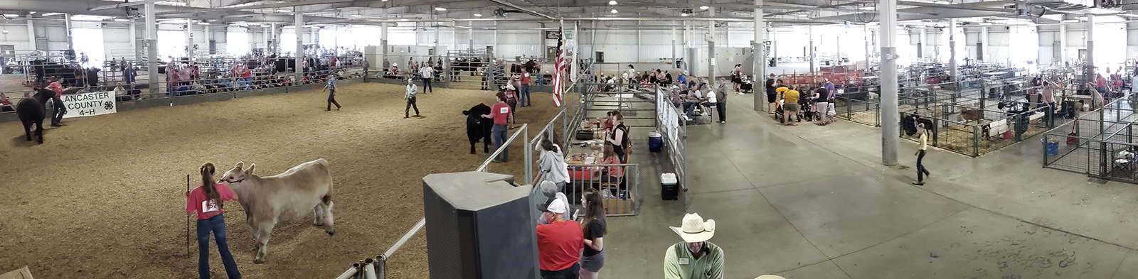 Pavilion 1 at 2022 Lancaster County Super Fair during 4-H/FFA Beef Show