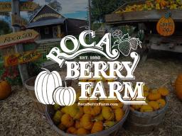 Join ISSO's Roca Berry Farm Trip!!!
