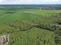 This aerial photo shows where environmentally fragile savannah has been converted to farm land in the Cerrado region of Brazil.  Alencar Zanon | University Federal Santa Maria, Brazil