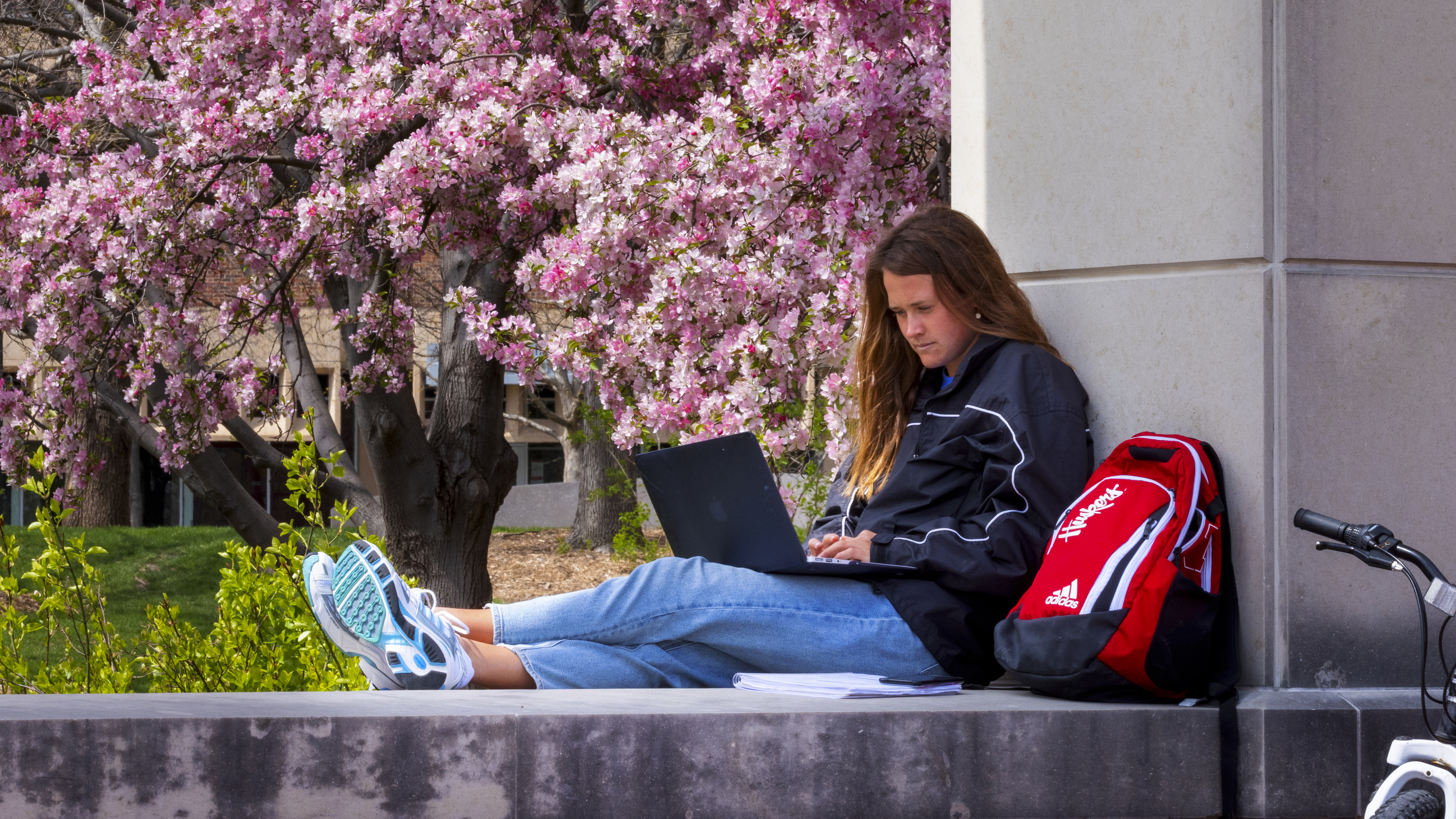 Students can find courses in MyRED by searching for "Pre-Session" in the session search field and add them to their shopping carts for priority registration, which begins Oct. 24.