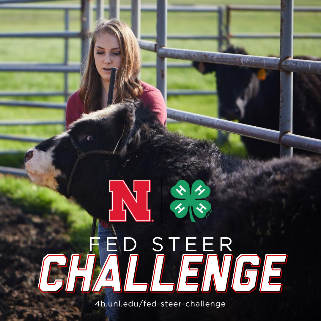 NE4H-Fed-Steer-Challenge.png