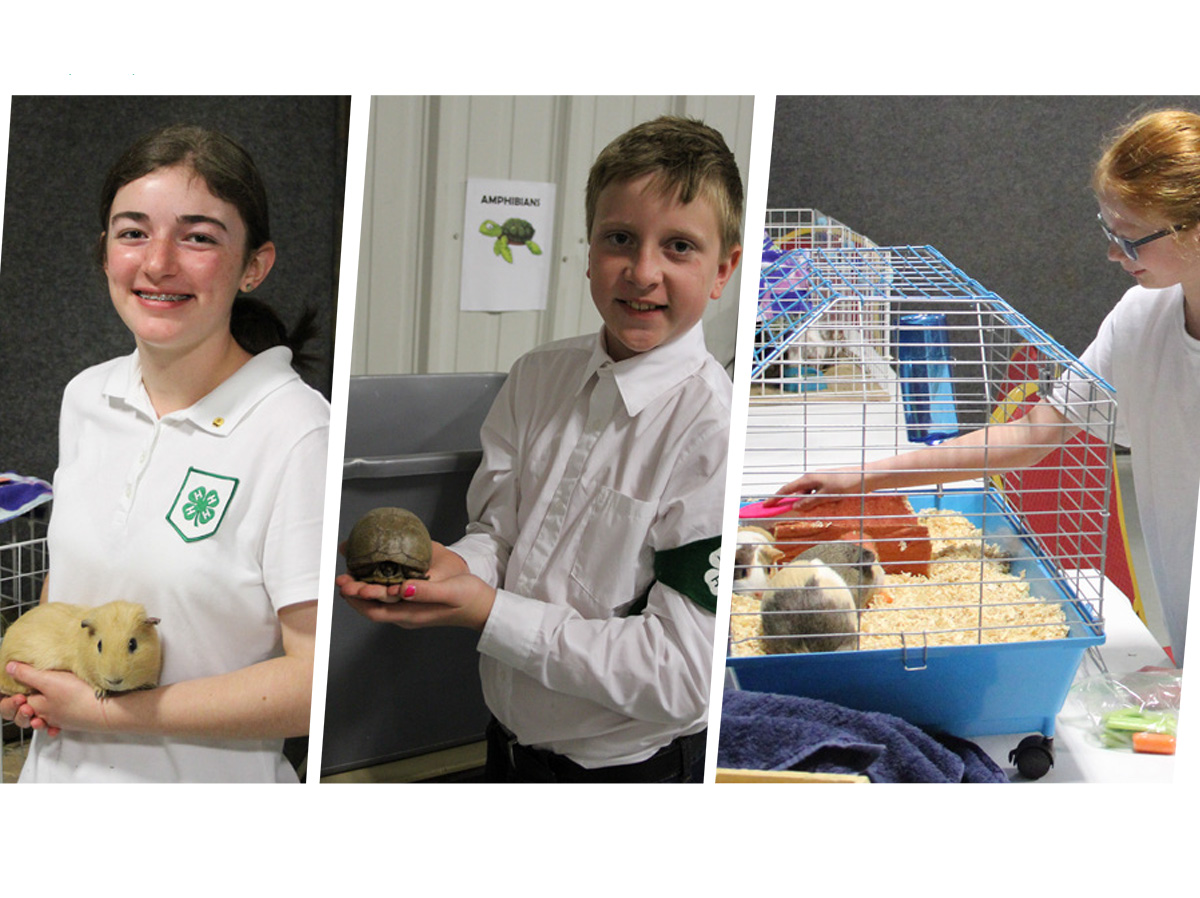 Household Pets exhibited in 4-H at the 2022 Lancaster County Super Fair