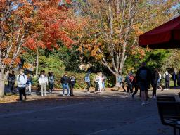 Leaves begin showing color as students attend classes after the university's fall break period.