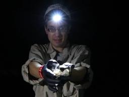 Christopher Fill is Nebraska coordinator for the North American Bat Monitoring Program. 