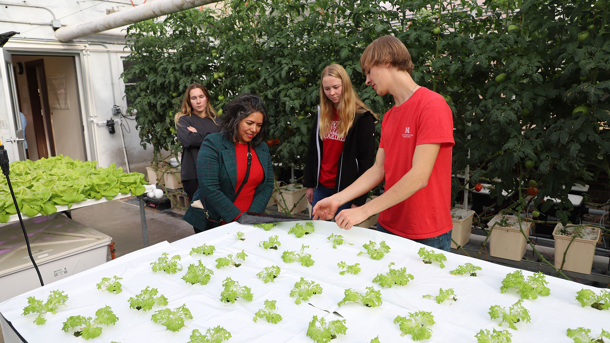 Grace Ruff (left), a senior plant and landscape systems major, and Nicole Svanda (middle), an agribusiness major, look on as William Anderson (right) demonstrates his hydroponic system to Jazmin Albarran of Seed Your Future during an open house Nov. 17.