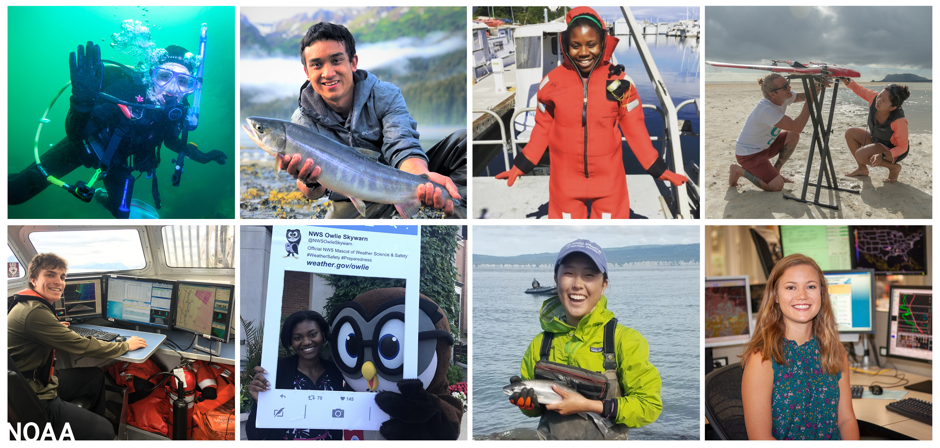 Hollings scholars have a variety of internships, from working with fish, diving, going aboard vessels, computer modeling, and more.