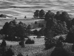 Dana Fritz’s “Field Guide to a Hybrid Landscape” (University of Nebraska Press). 