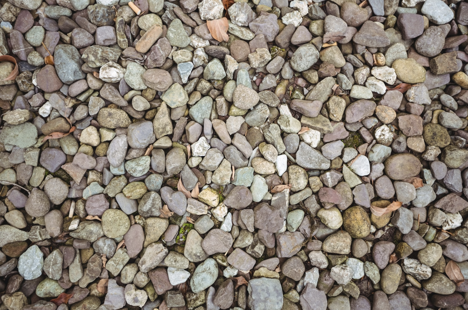 Detail of a gravel sample