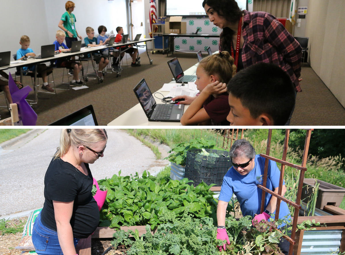 Pictured at top are volunteers presenting a 4-H Clover College workshop. Pictured at bottom is a Master Gardener volunteer harvesting produce from Extension’s donation garden, along with Extension Assistant Courtney Eitzmann.