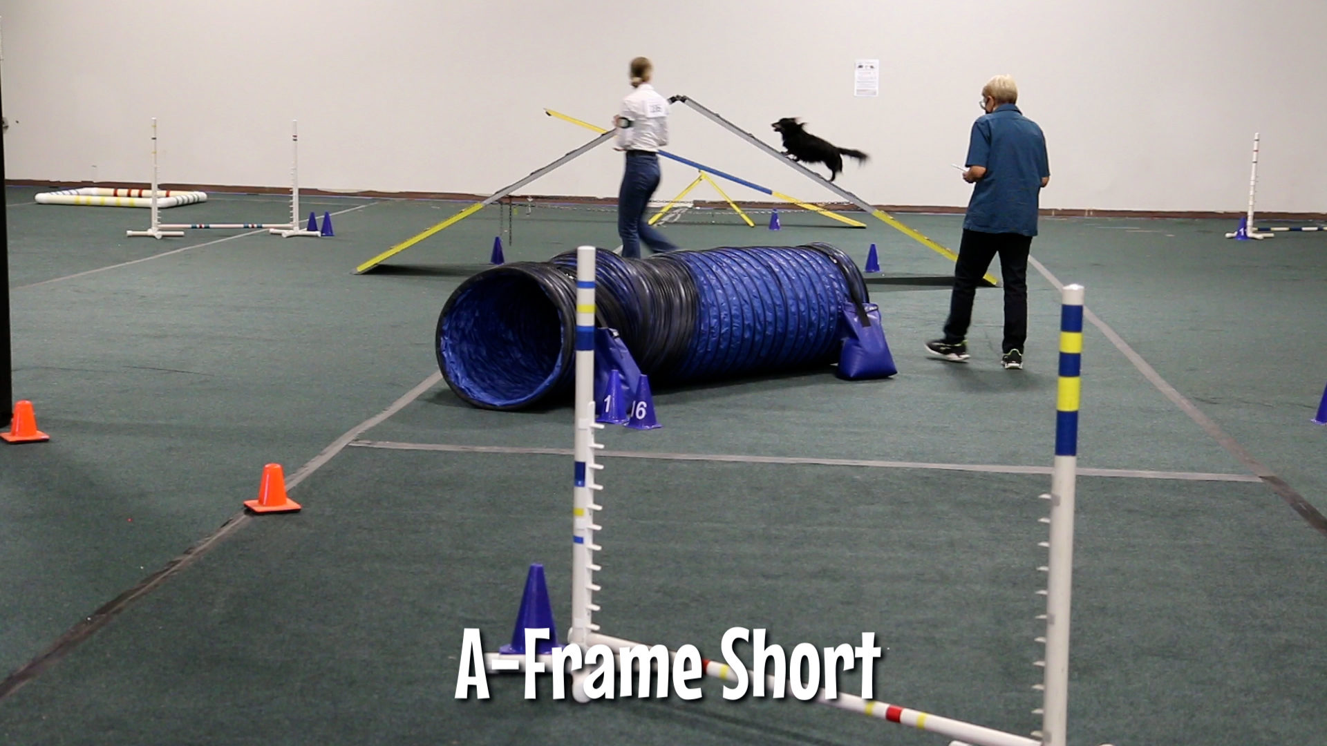 Screenshot from 4-H Dog Trophy Agility Example video