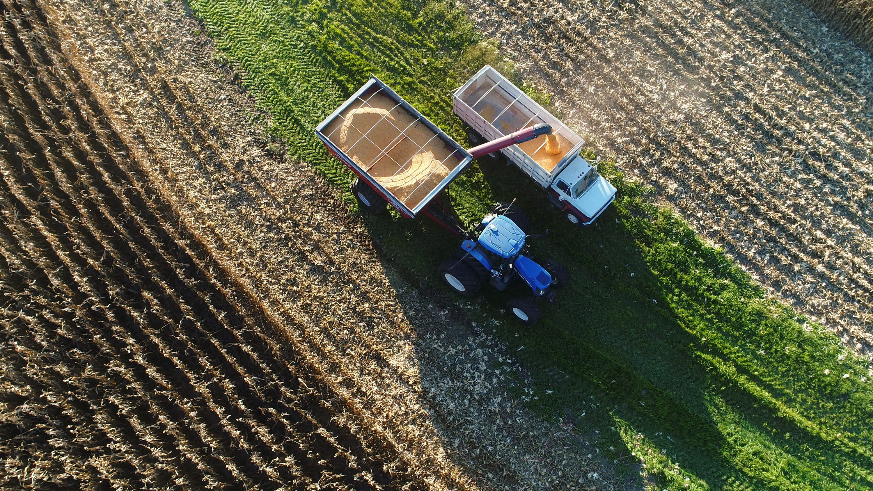 Harvest. Laura Thompson | Nebraska Extension