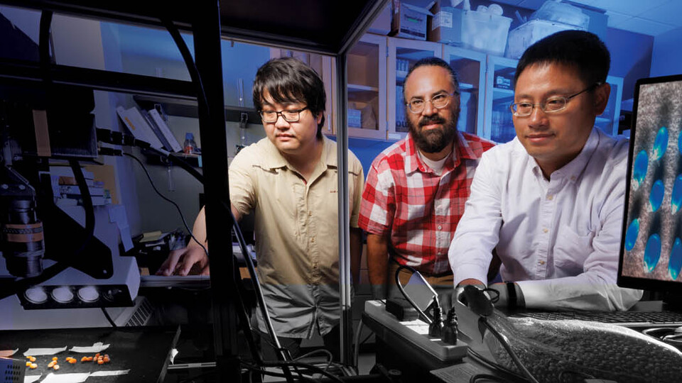 From left: Graduate student Tian Gao, Harkamal Walia and Hongfeng Yu 