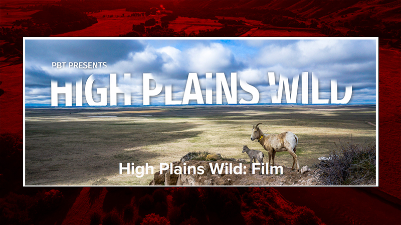 High Plains Wild Film