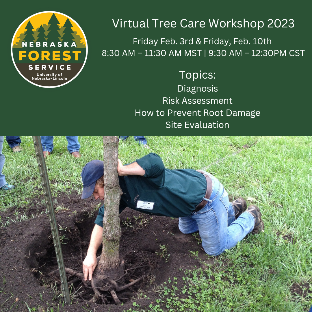The Nebraska Forest Service will present a virtual Tree Care Workshop on February 3 and 10. 