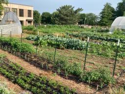 University of Nebraska–Lincoln researcher, Sam Wortman, is searching for gardeners and urban farmers to participate in a science project to collect plant and soil data in their own gardens.