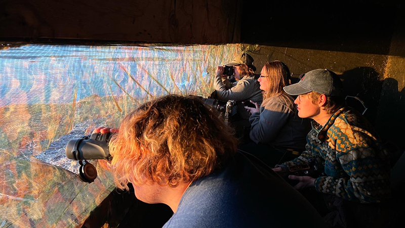 Student viewing sandhill cranes.