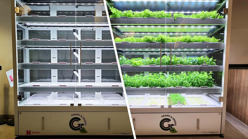 Babylon micro-farm, located in the Selleck Food Court, will serve more eco-aware products to students