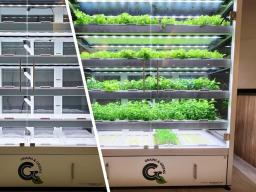 Babylon micro-farm, located in the Selleck Food Court, will serve more eco-aware products to students