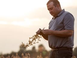 The Nebraska Soybean Board is looking for soybean farmers interested in filling one of Nebraska’s four director positions with the United Soybean Board, for a three-year term. 