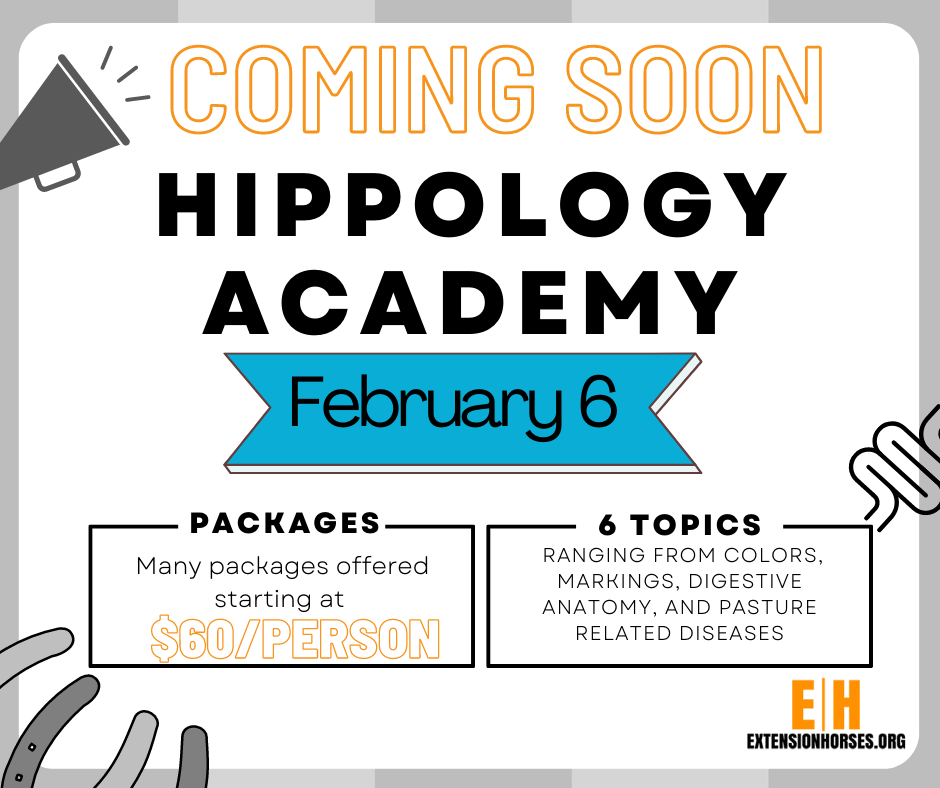 Hippology Academy 2023.png
