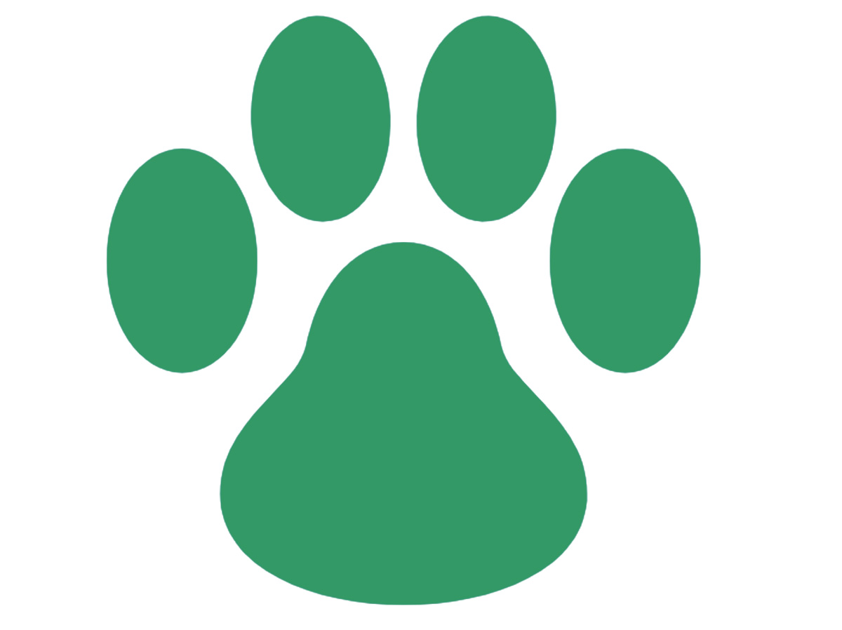 Dog Paw Green.jpg