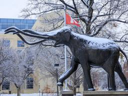 A recent snowfall lightly covers Archie the mammoth in front of the University of Nebraska State Museum. January 18, 2023. [Mike Jackson | Student Affairs]