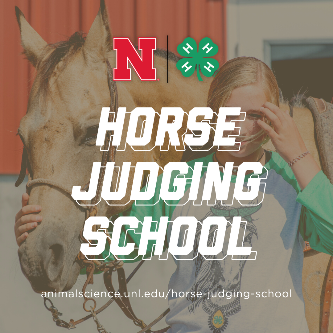 NE4H-Horse-Judging-School.png