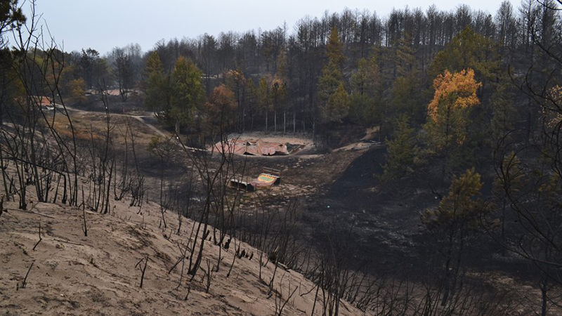 After the October 2022 Bovee Fire in Nebraska, hills once blanketed in mixed prairie grass were stripped bare, revealing the sandy soils underneath. (Carson Vaugahn / Midwest Newsroom)