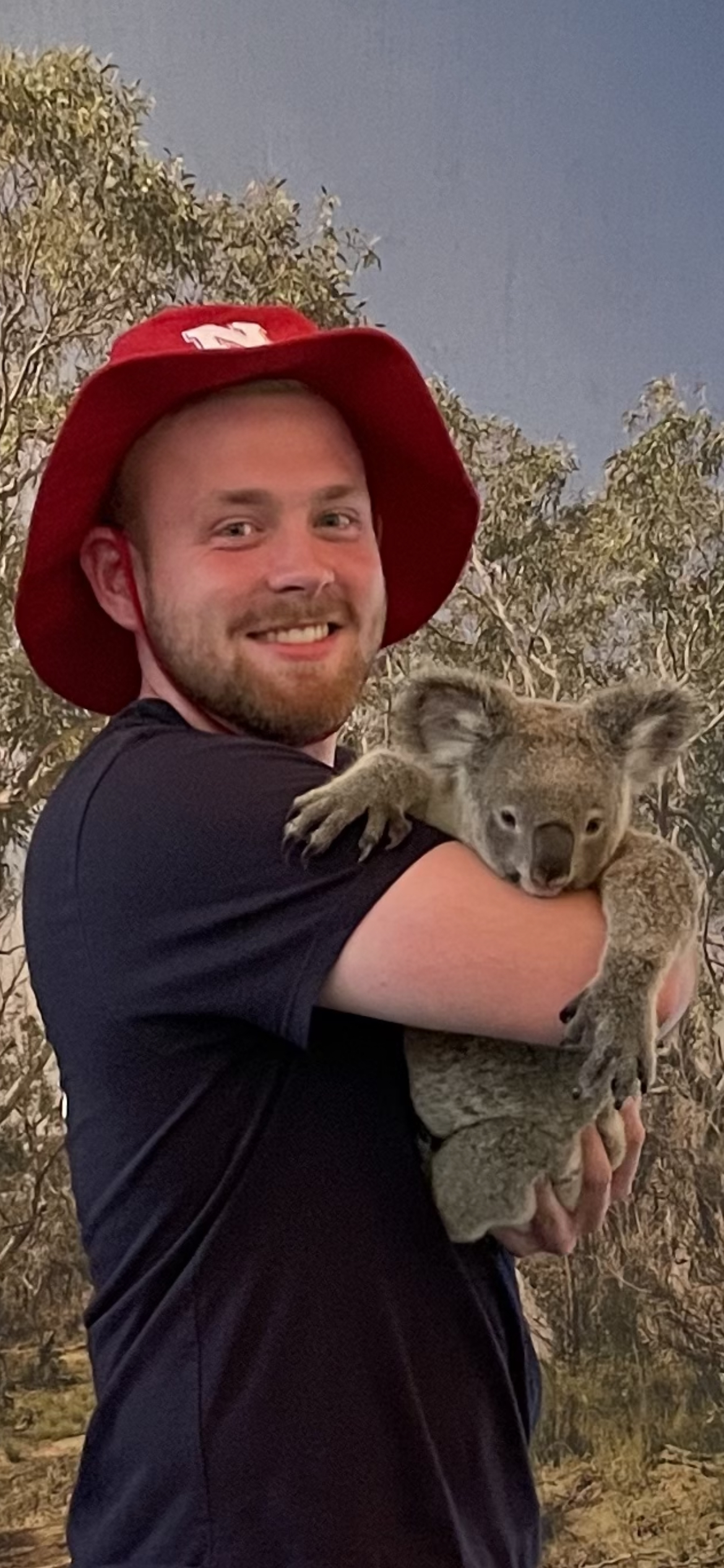 UNL student Will Hattery holding a koala in Australia.