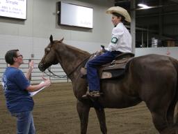 A 2022 4-H horsemanship advancement test at the Lancaster Event Center Fairgrounds.