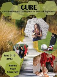 Cross-Institutional Undergraduate Research Experience