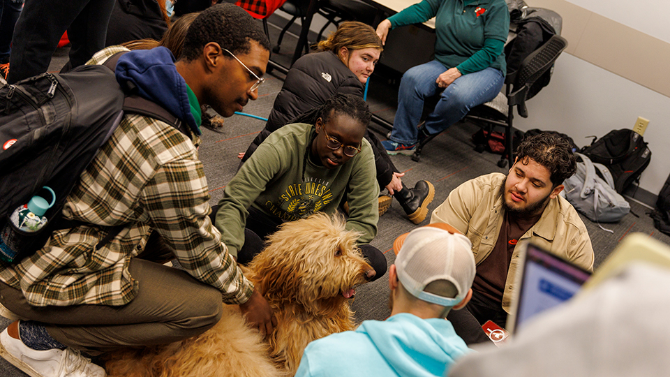 De-stress with therapy dogs on the second Wednesday & Thursday of each month at BIG RED PAWP UPS. [Mike Jackson | Student Affairs]