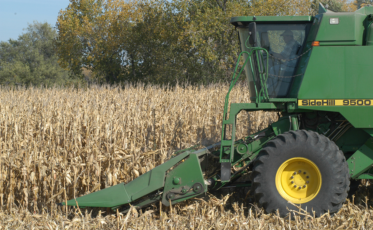 harvesting-corn-for-enews.jpg