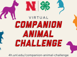 NE4H-Companion-Animal-Challenge.png