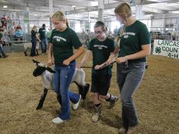 Members of the Unified Showing 4-H club at the 2022 Lancaster County Super Fair.