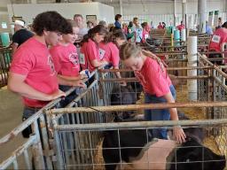 Pick-A-Pig 4-H club members at the 2022 Lancaster County Super Fair.