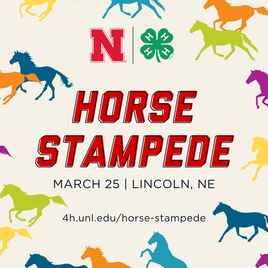 NE4H-Horse-Stampede_2023.png