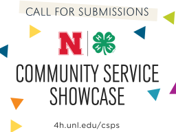 NE4H-Service-Showcase_Call-for-Submissions.png