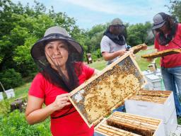  Craig Chandler | University Communication and Marketing Judy Wu-Smart with honeybees, one of multiple pollinators that can suffer the consequences when insecticides spread to unintended targets via water and wind.