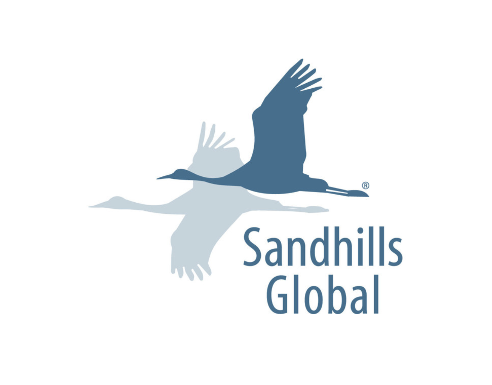 Sandhills Global